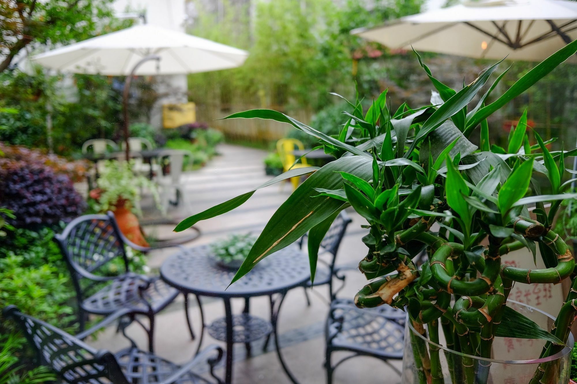 Suzhou Homa Garden Hotel Eksteriør billede